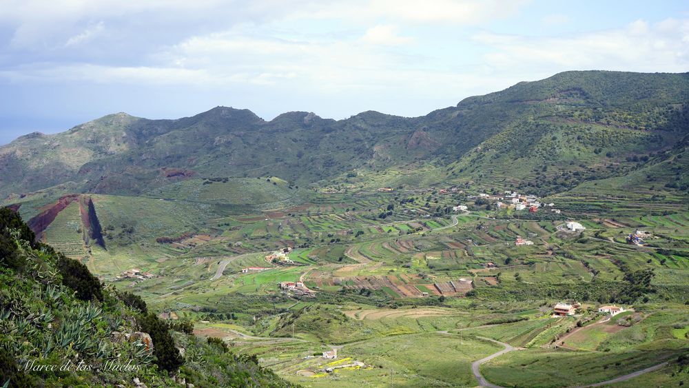 ...Altos de Baraca?n Tenerife...