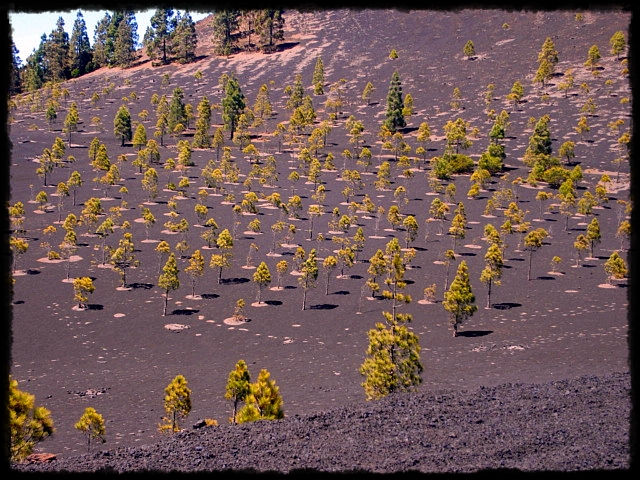 Altos de Tenerife