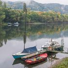 Altrhein bei Bad Hönningen