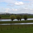 Altrhein bei Düffelward mit Blick auf Hoch Elten