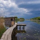 Altrhein bei Jockgrim kurz vor dem Unwetter