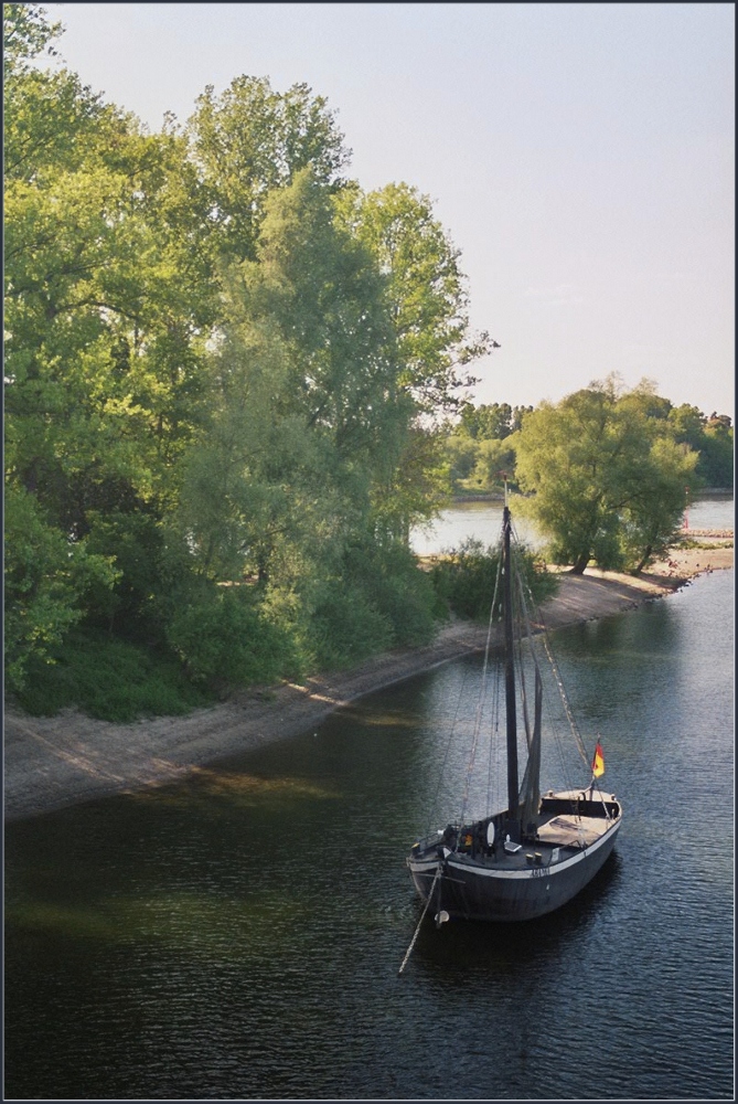 Altrhein bei Königswinter (HF)