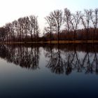 Altrhein bei Xanten-Birten