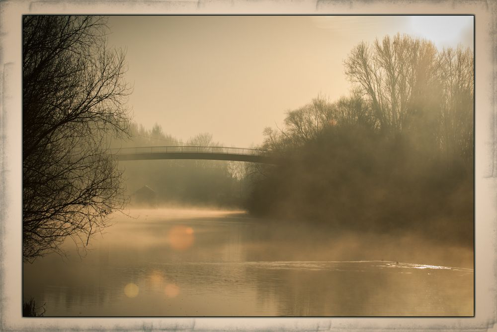 Altrhein im Nebel