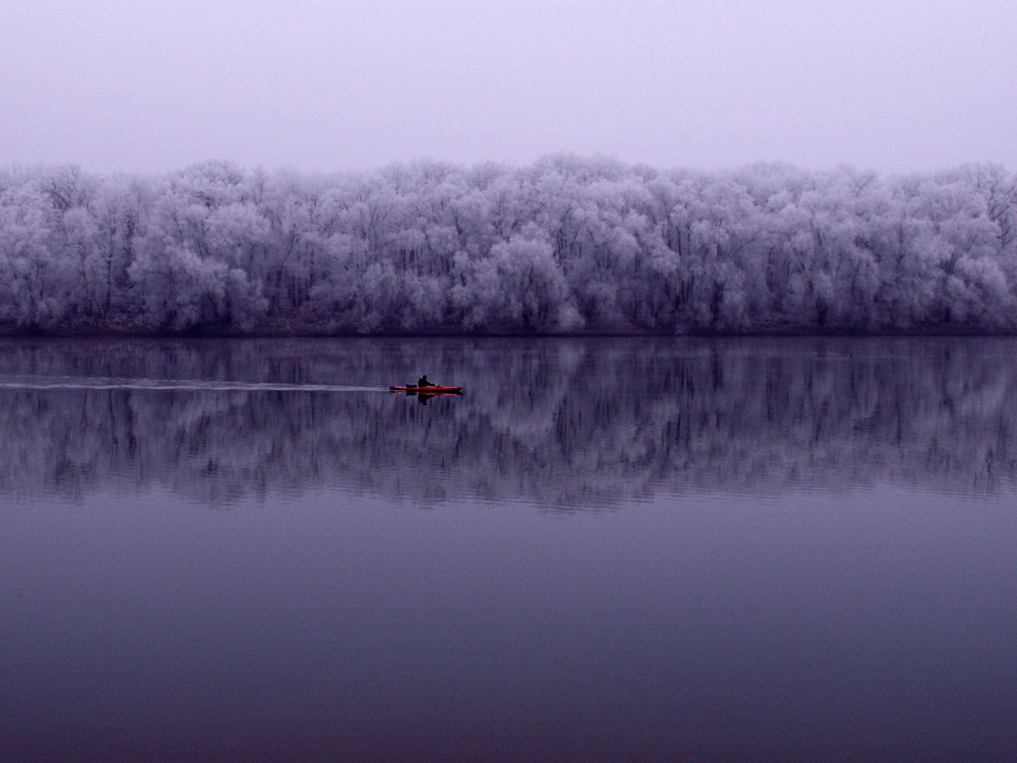 Altrhein im Winter