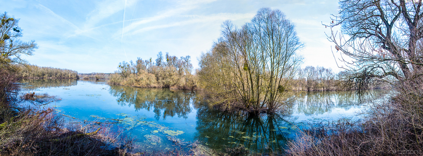 Altrhein Panorama am Schlappeswörth