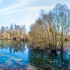 Altrhein Panorama am Schlappeswörth