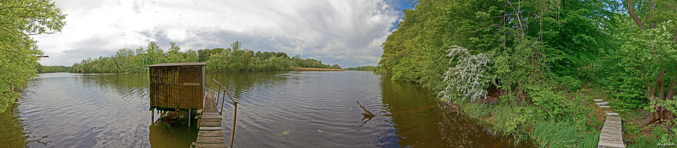 Altrhein Panorama