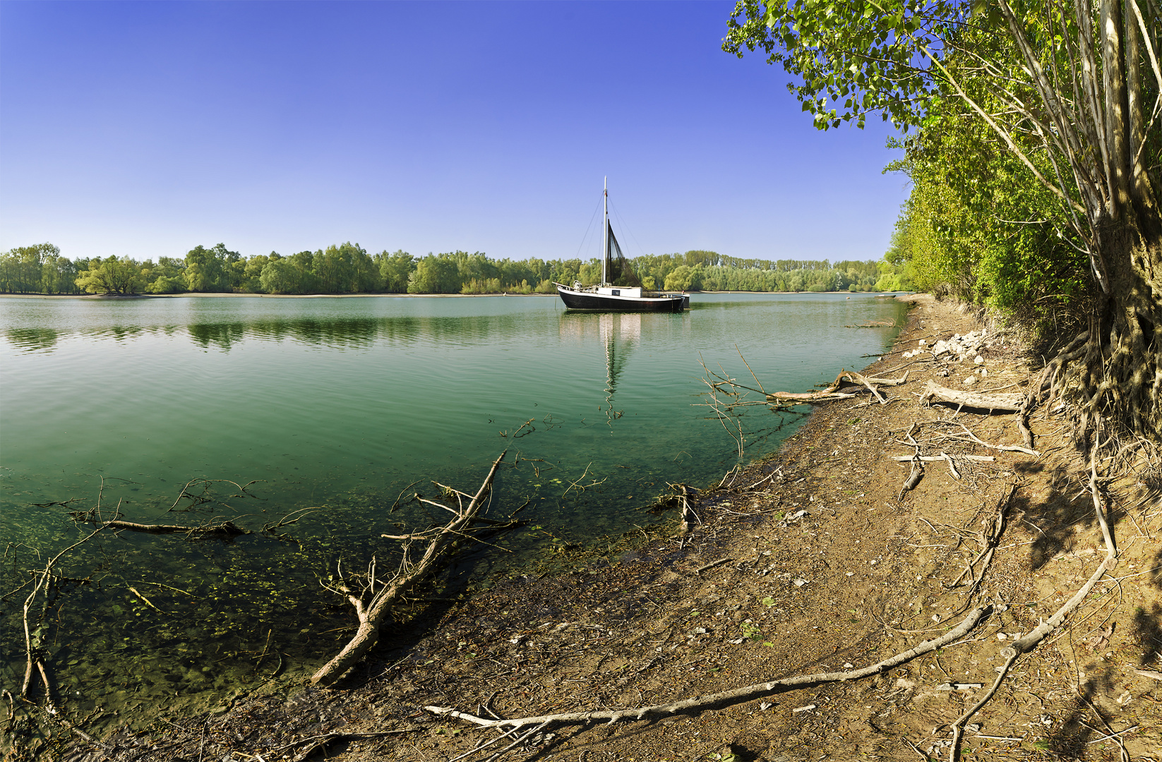 Altrheinlandschaft