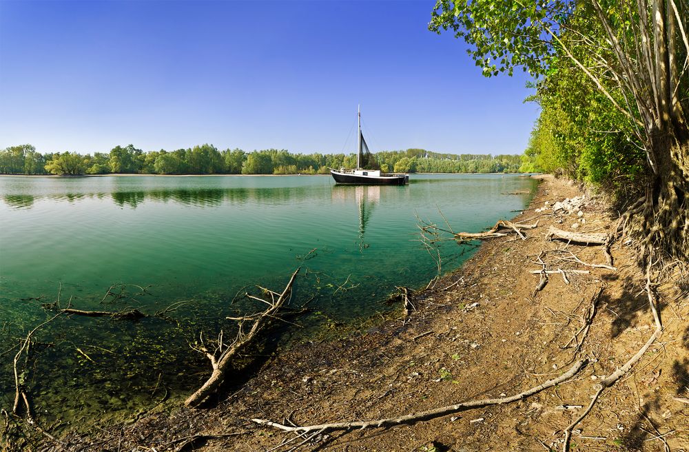 Altrheinlandschaft