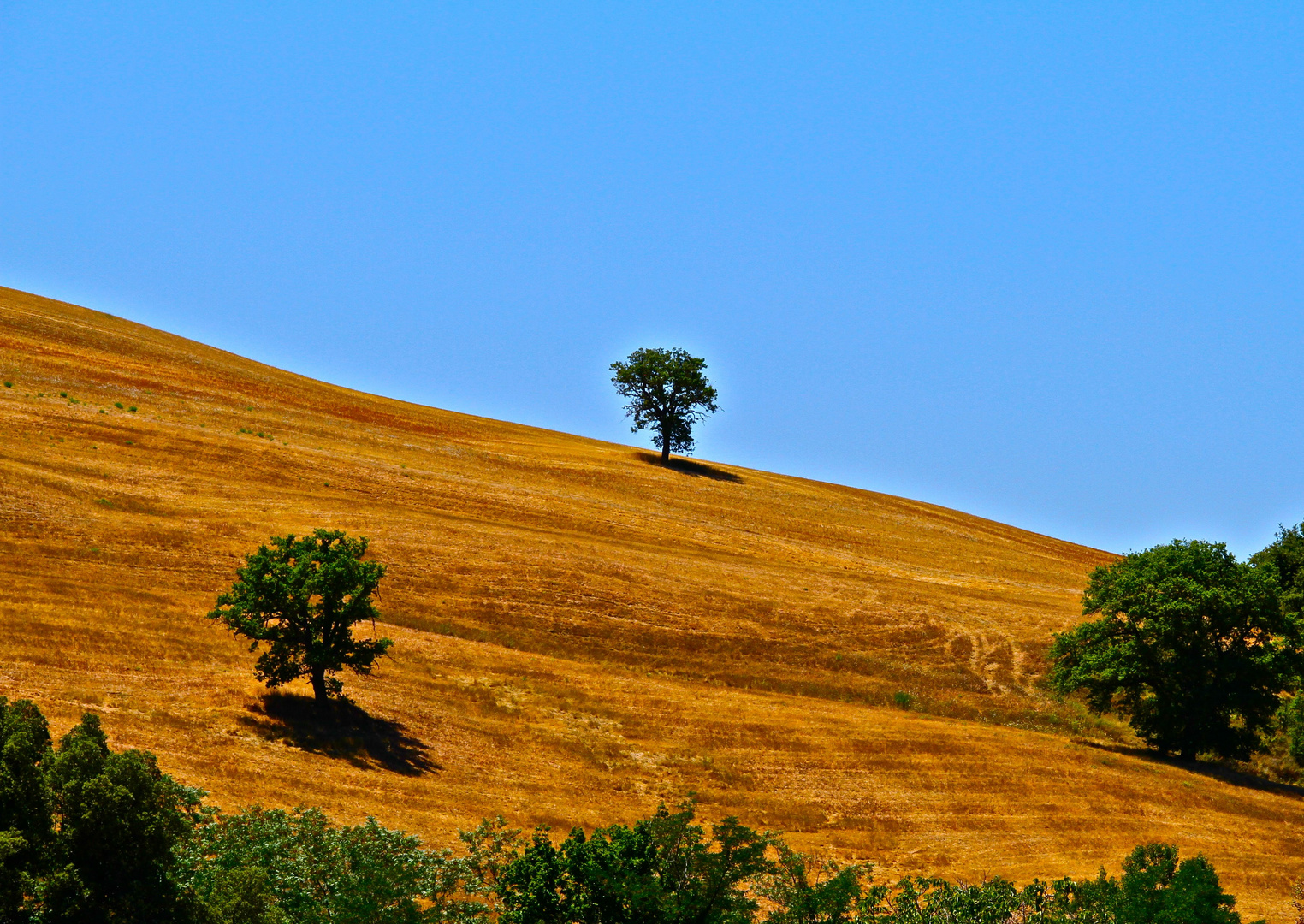 Altri due solitari.