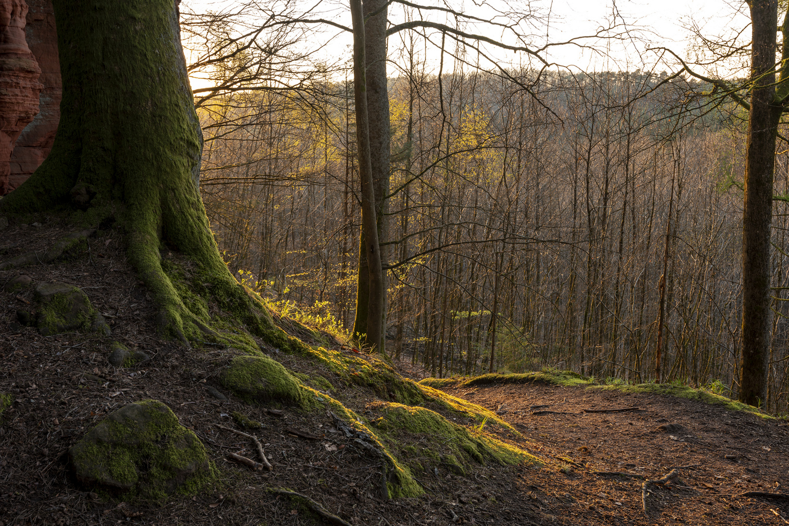 Altschloßfelsen-2019-018