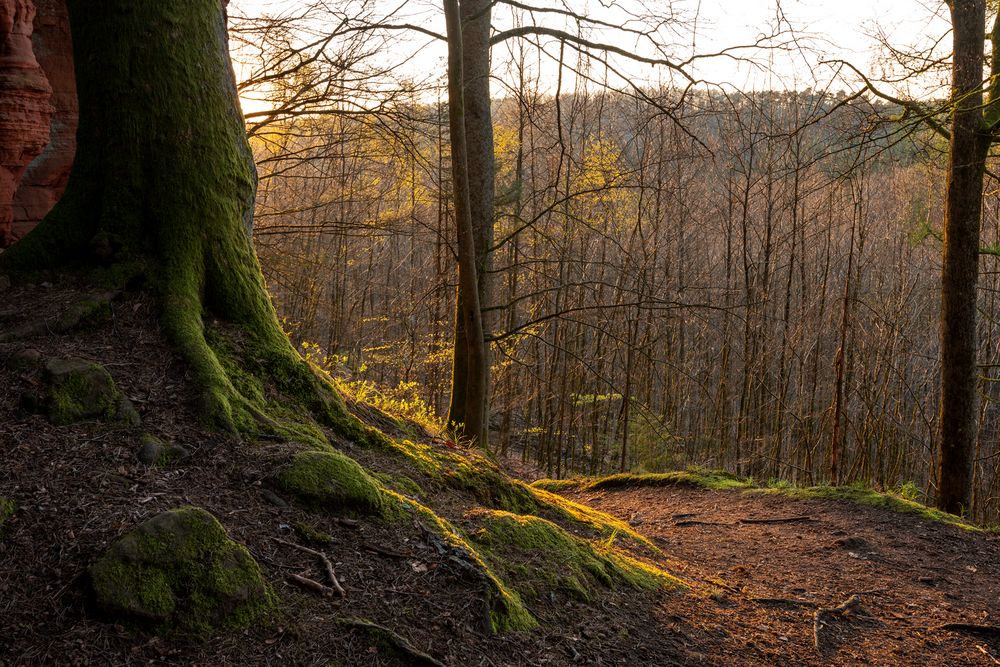 Altschloßfelsen-2019-018