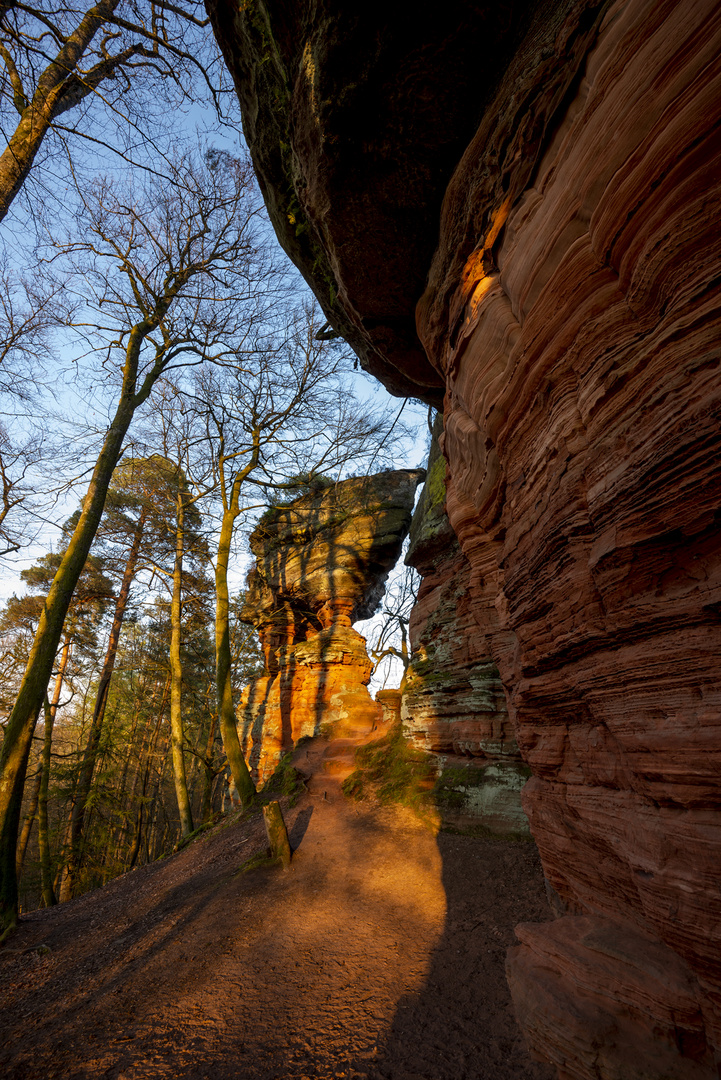 Altschloßfelsen-2019-023