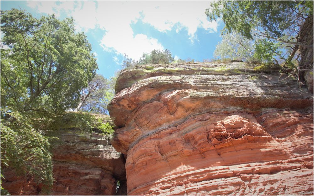 ~ Altschlossfelsen ~