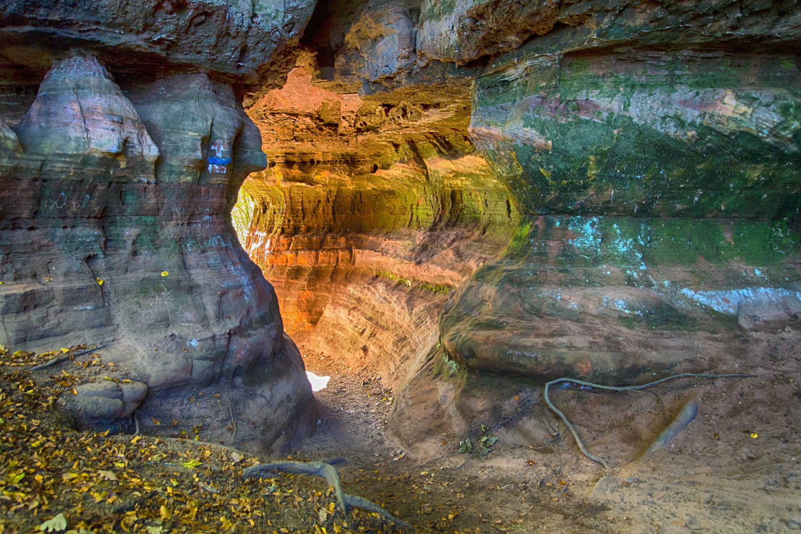 Altschlossfelsen bei Eppenbrunn - 3