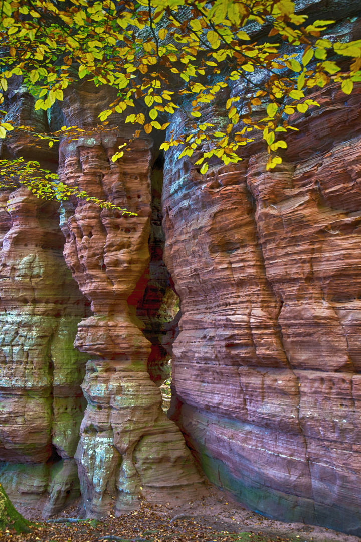 Altschlossfelsen bei Eppenbrunn, 30.10.2016