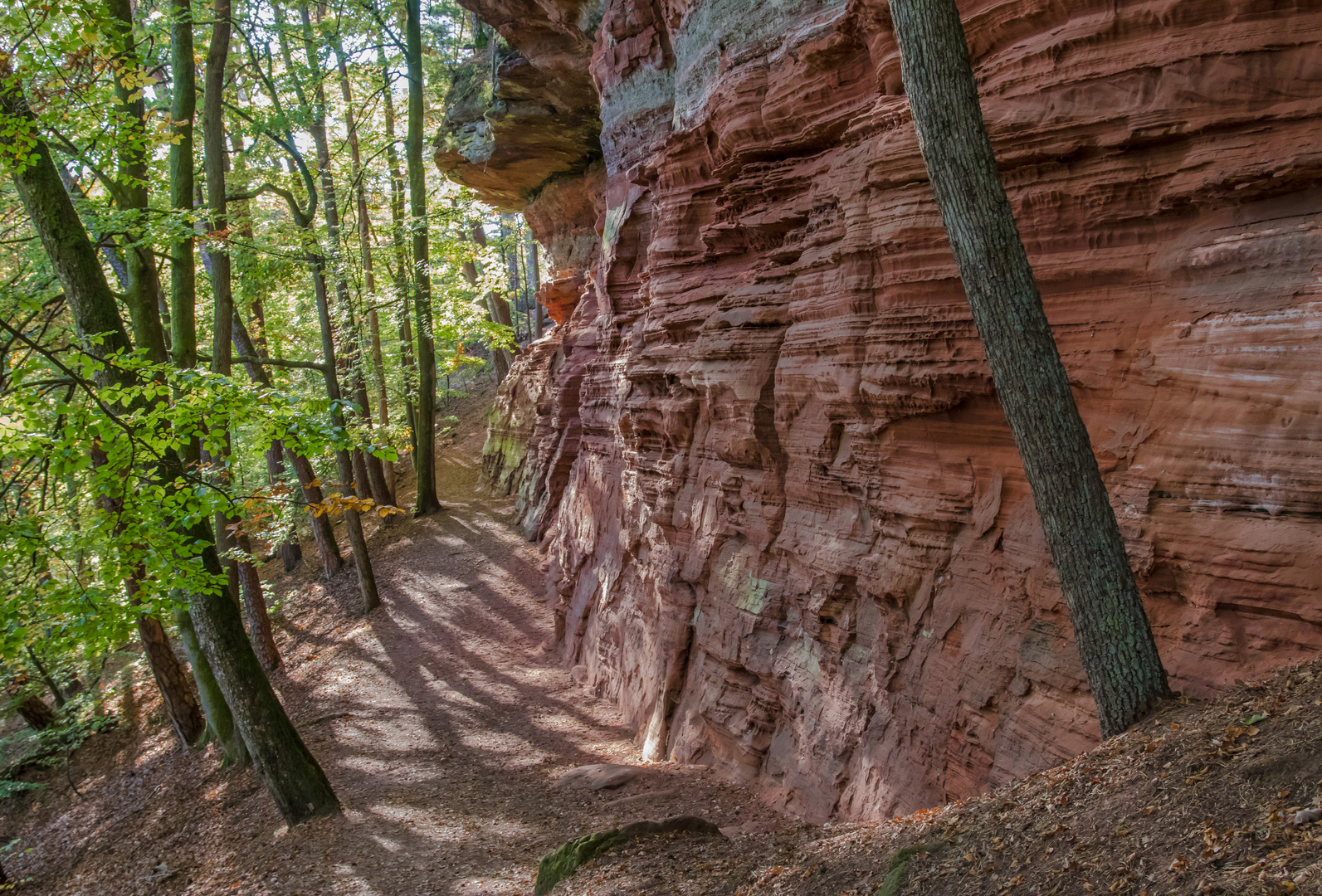 Altschlossfelsen bei Eppenbrunn