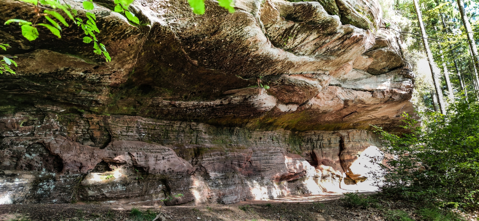 Altschlossfelsen bei Eppenbrunn in der Pfalz