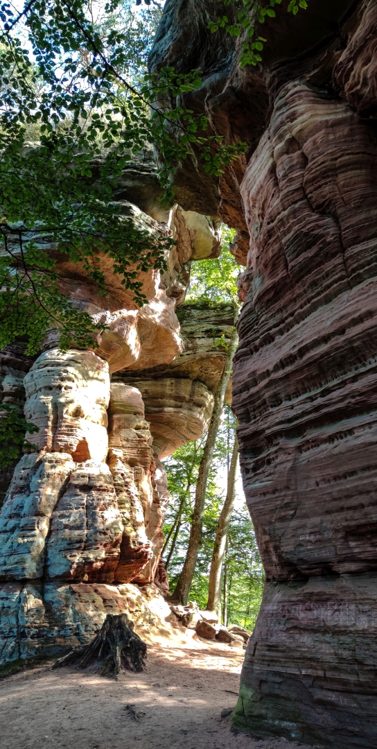 Altschlossfelsen bei Eppenbrunn in der Pfalz