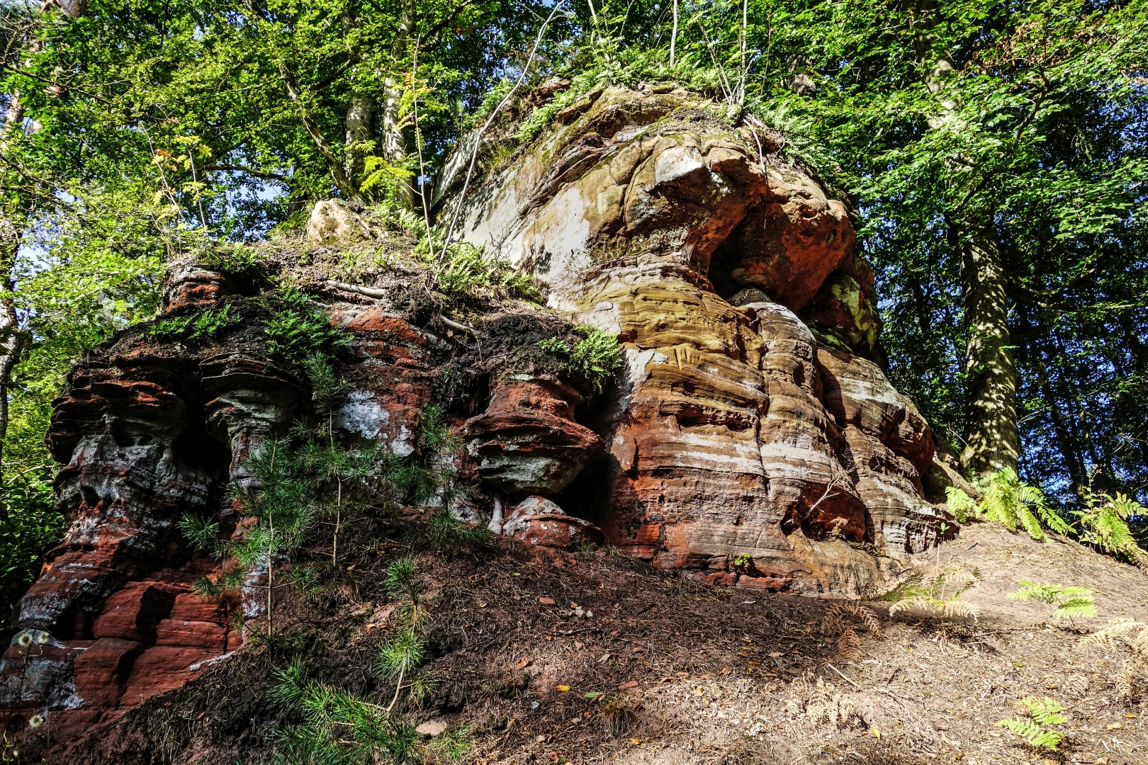 Altschlossfelsen bei Eppenbrunn in der Pfalz