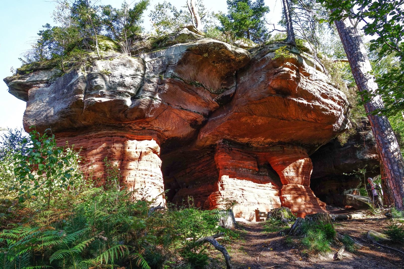 Altschlossfelsen bei Eppenbrunn in der Pfalz