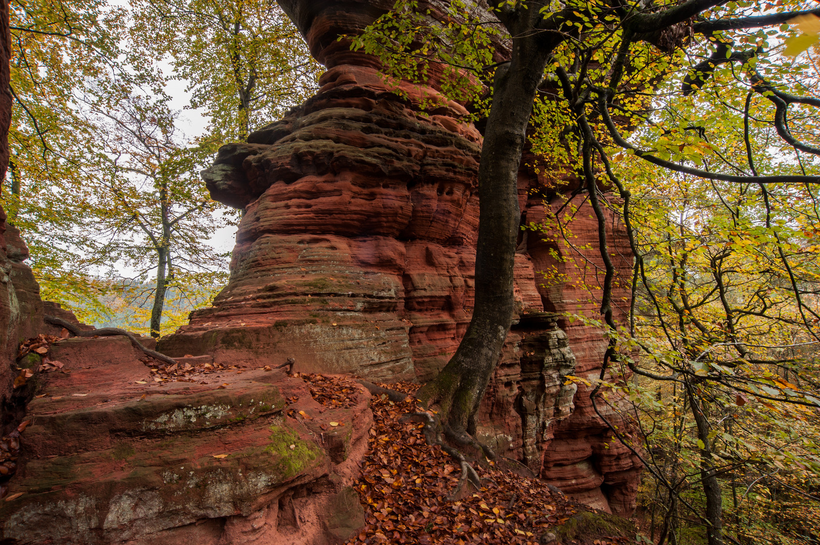 Altschloßfelsen bei Eppenbrunn, Pfälzerwald. Nr. 2