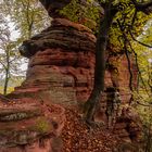 Altschloßfelsen bei Eppenbrunn, Pfälzerwald. Nr. 2