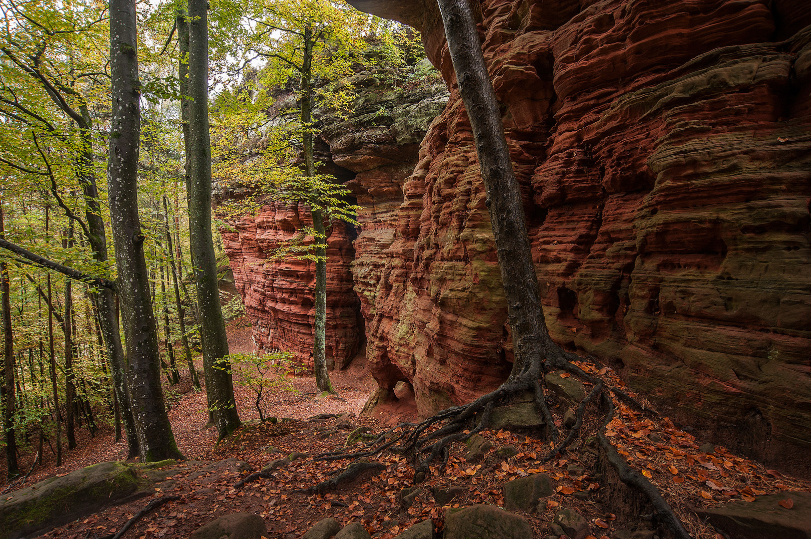 Altschloßfelsen bei Eppenbrunn, Pfälzerwald. Nr. 4