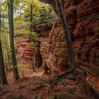 Altschloßfelsen bei Eppenbrunn, Pfälzerwald. Nr. 4