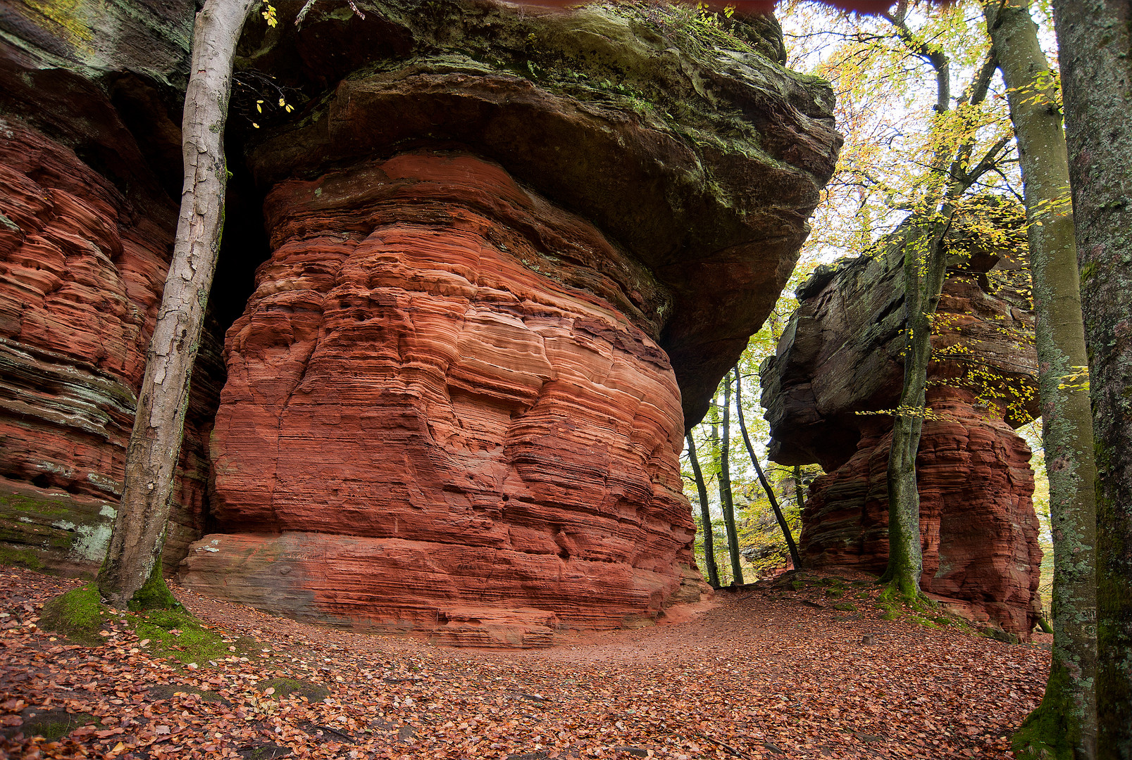 Altschloßfelsen bei Eppenbrunn, Pfälzerwald. Nr. 6