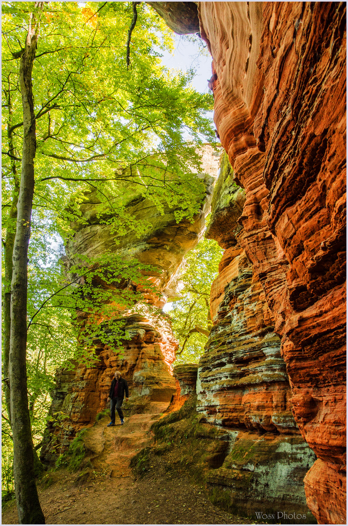 "Altschlossfelsen" (Buntsandsteinformation) bei Eppenbrunn  1