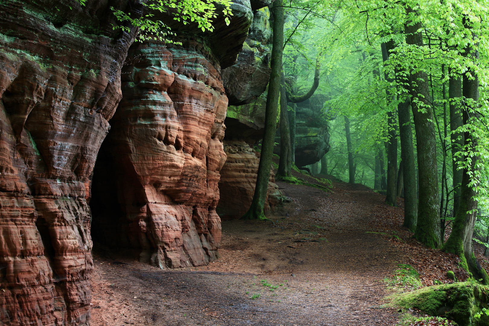 Altschlossfelsen im Mai (1)