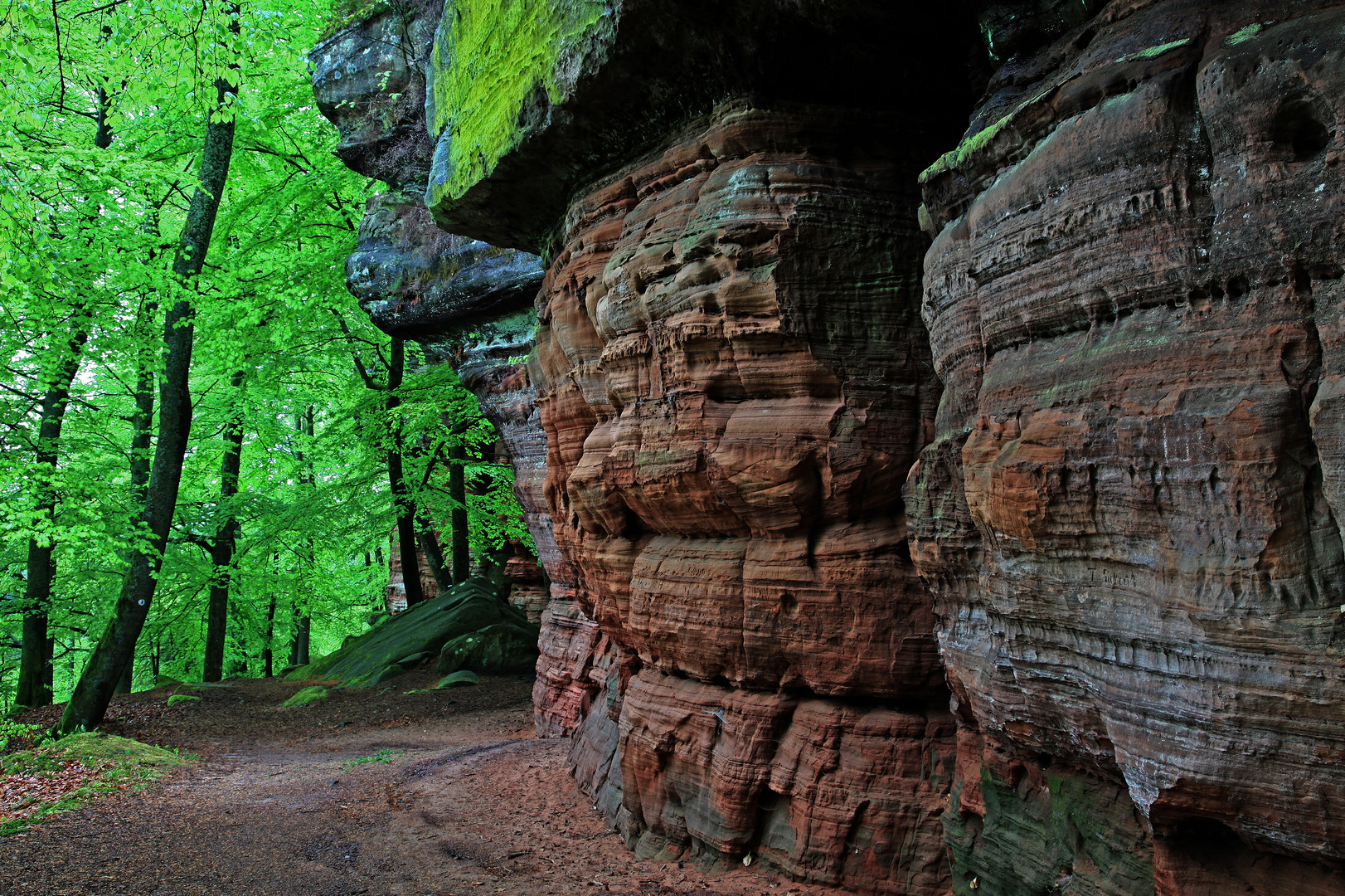 Altschlossfelsen im Mai (3)