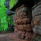 Altschlossfelsen im Mai (3)