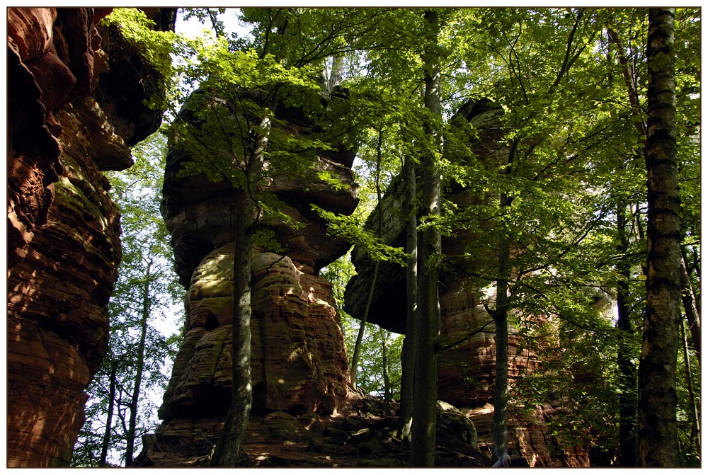 Altschloßfelsen in den Vogesen / Frankreich.