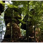 Altschloßfelsen in den Vogesen / Frankreich.