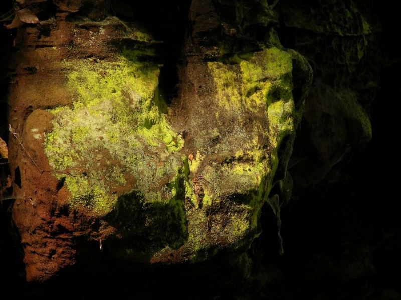 Altschlossfelsen-Troll