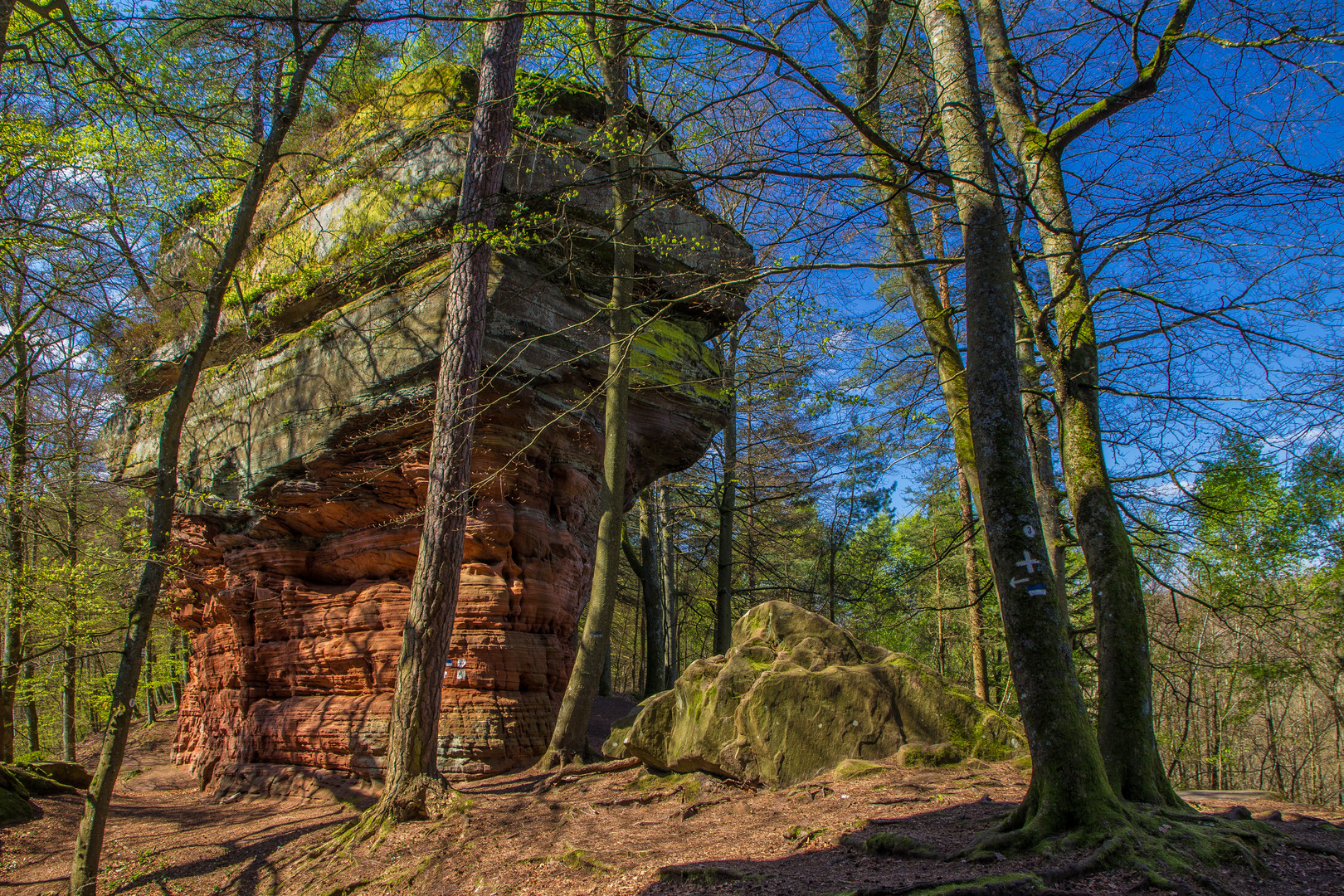 Altschlossfelsen_1