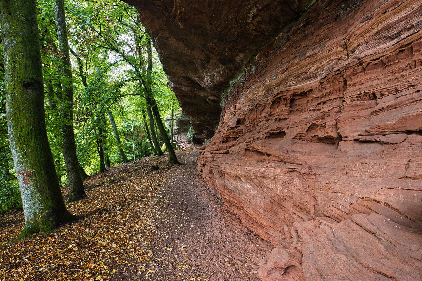 Altschlossfelsen_9913