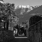 Altstadt Ascona am Lago Maggiore