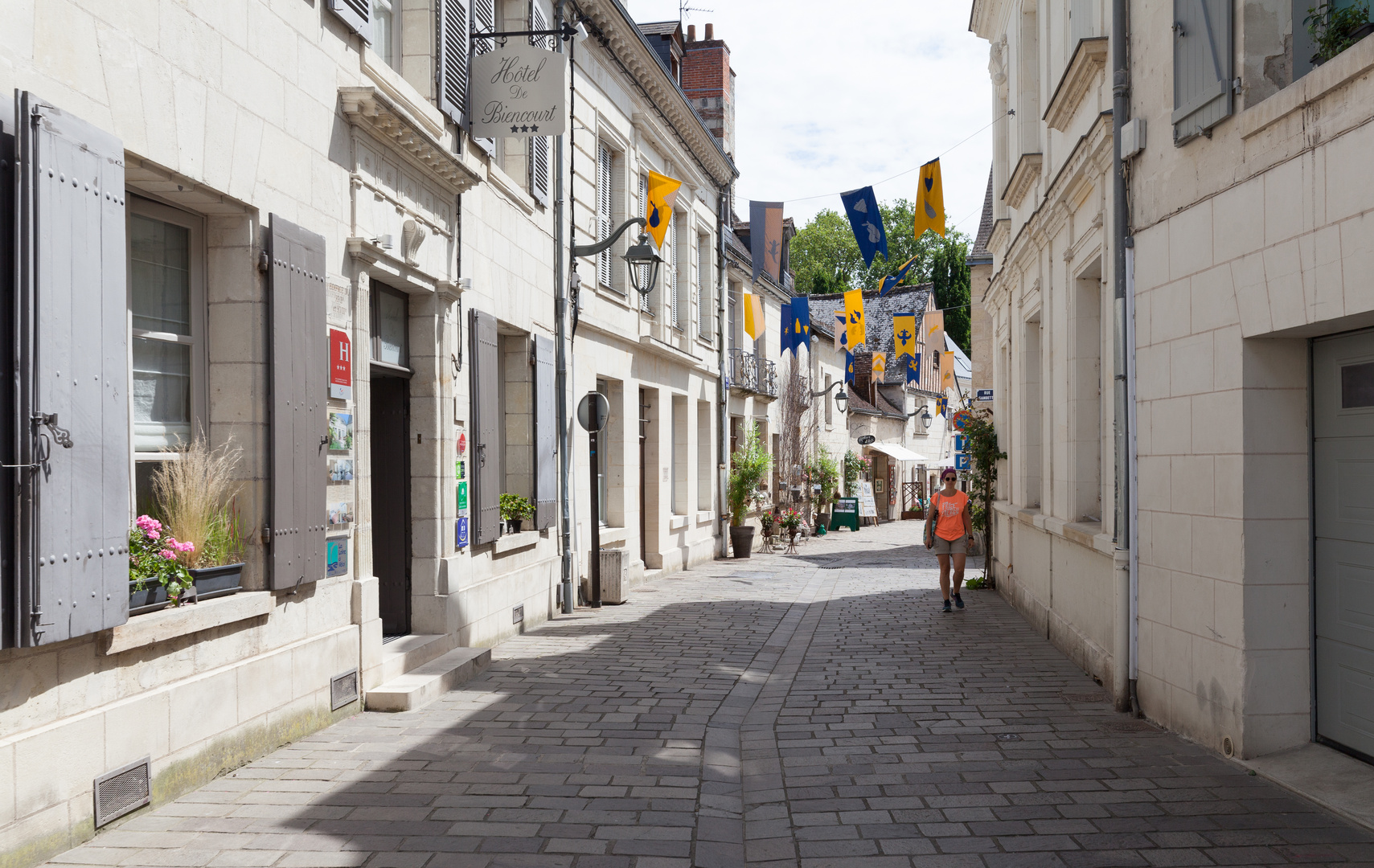 Altstadt Azay-le-Rideau