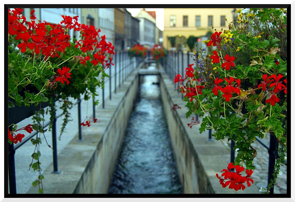 Altstadt der Lutherstadt Wittenberg Foto & Bild ...
