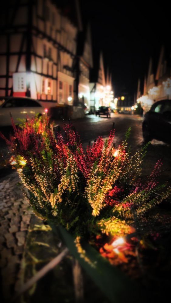 Altstadt - Freudenberg