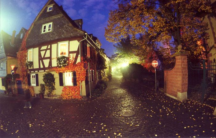 Altstadt Hoechst "available light fisheye"