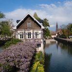 ... Altstadt Idylle ...