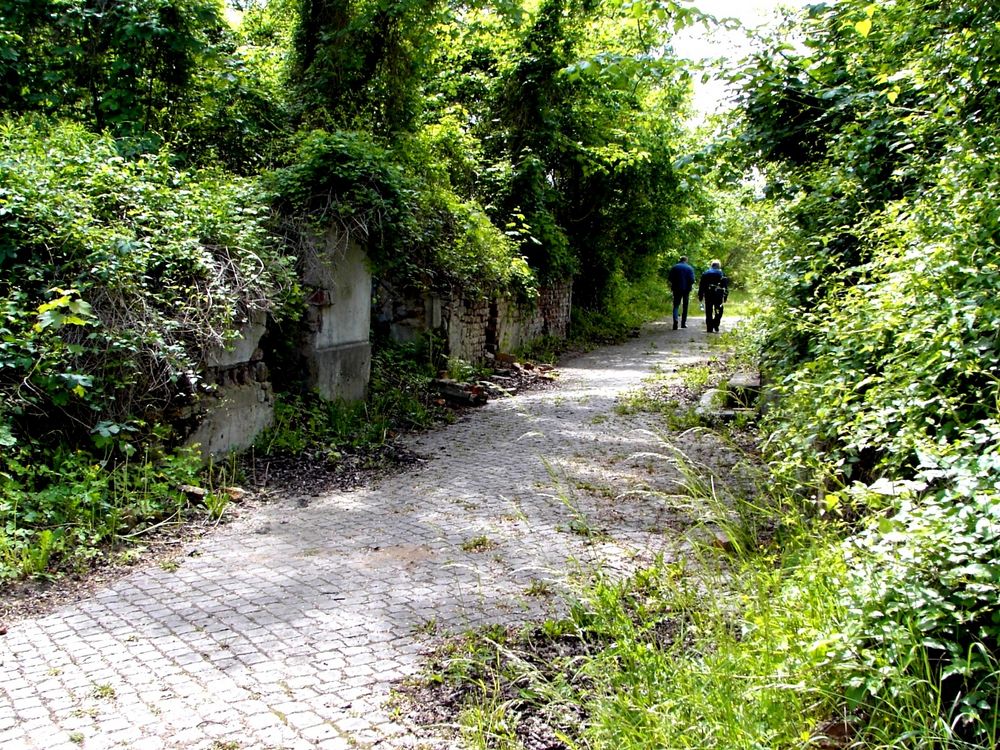 Altstadt Küstrin - Das "Pompejii" des 2. Weltkriegs an der Oder