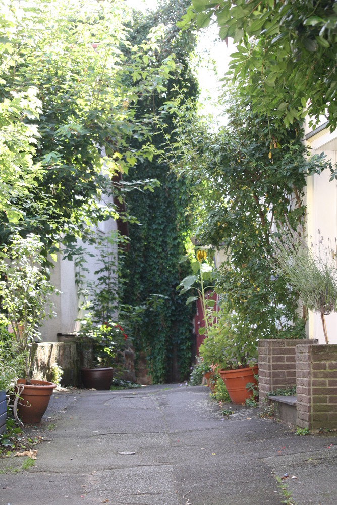 Altstadt Marburg - Hinterhof