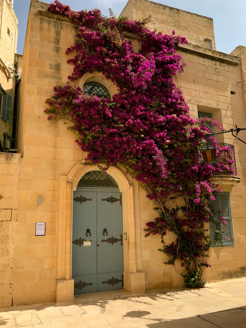 Altstadt Mdina 