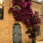 Altstadt Mdina 